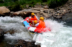 activity-img
