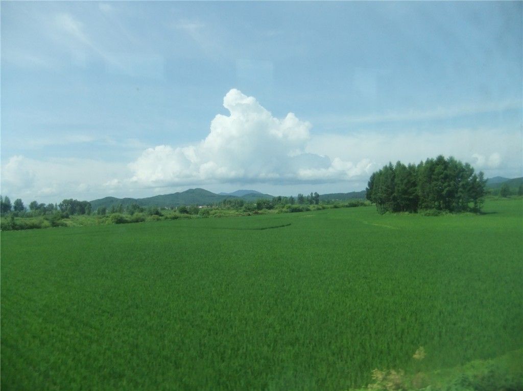 20100703���˺� 005_����.jpg