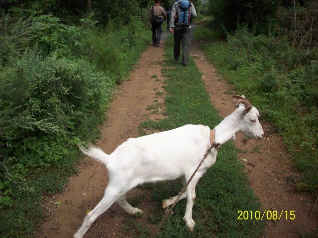 100_5867.JPG