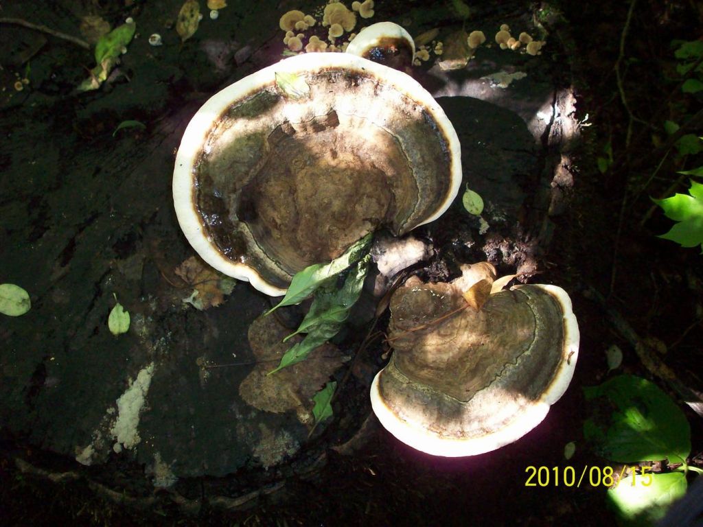 100_5947.JPG
