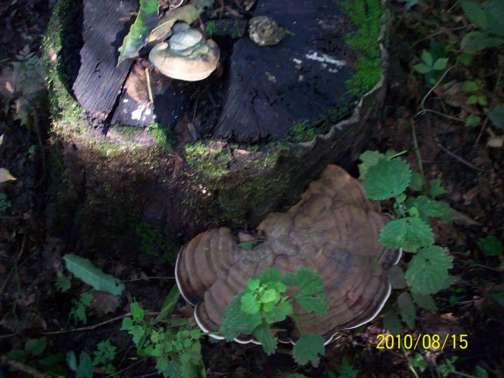 100_5983.JPG