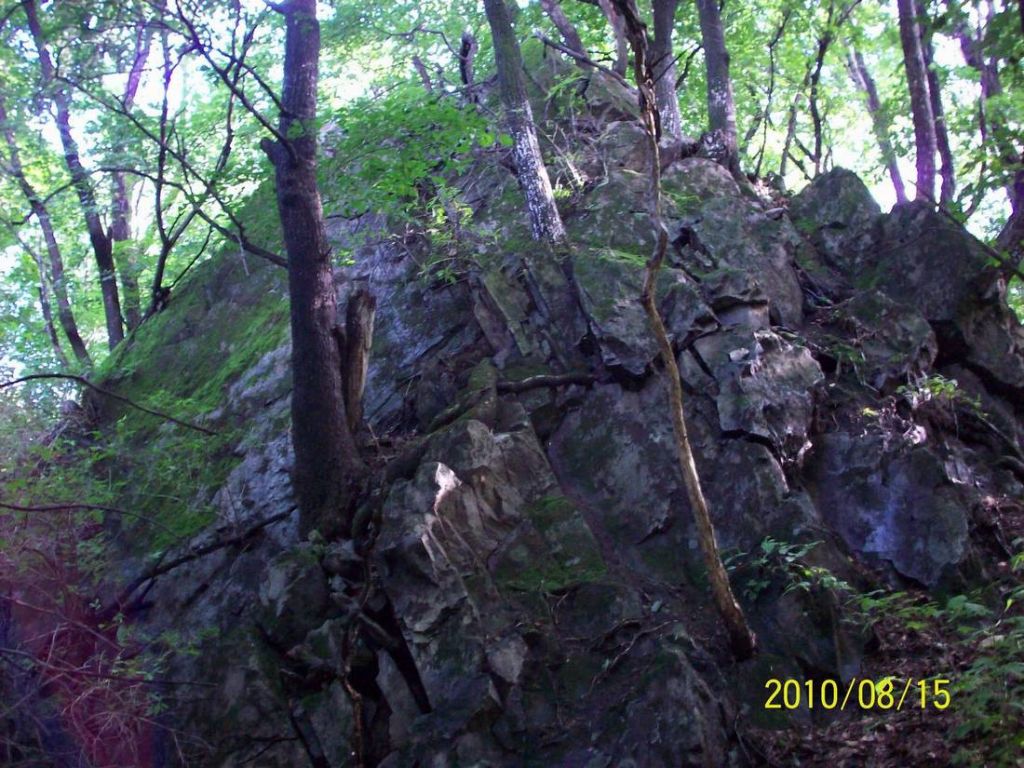 100_5987.JPG