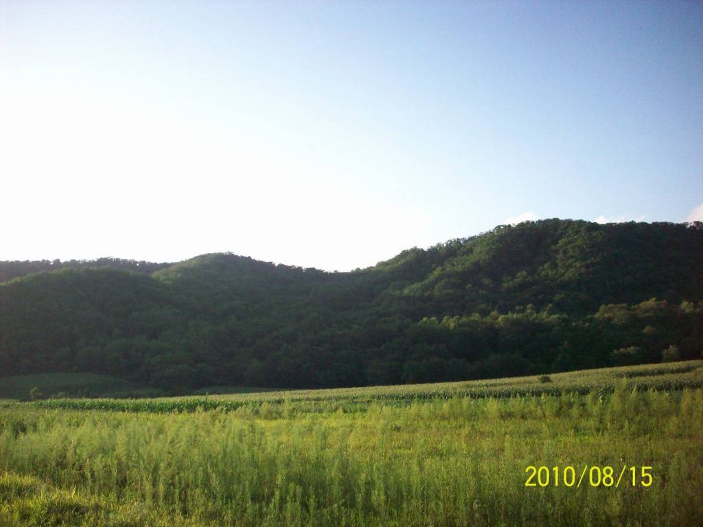 100_6068.JPG