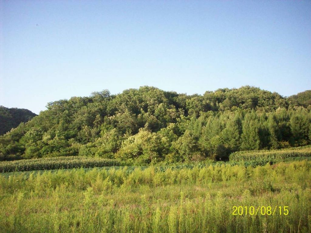 100_6069.JPG