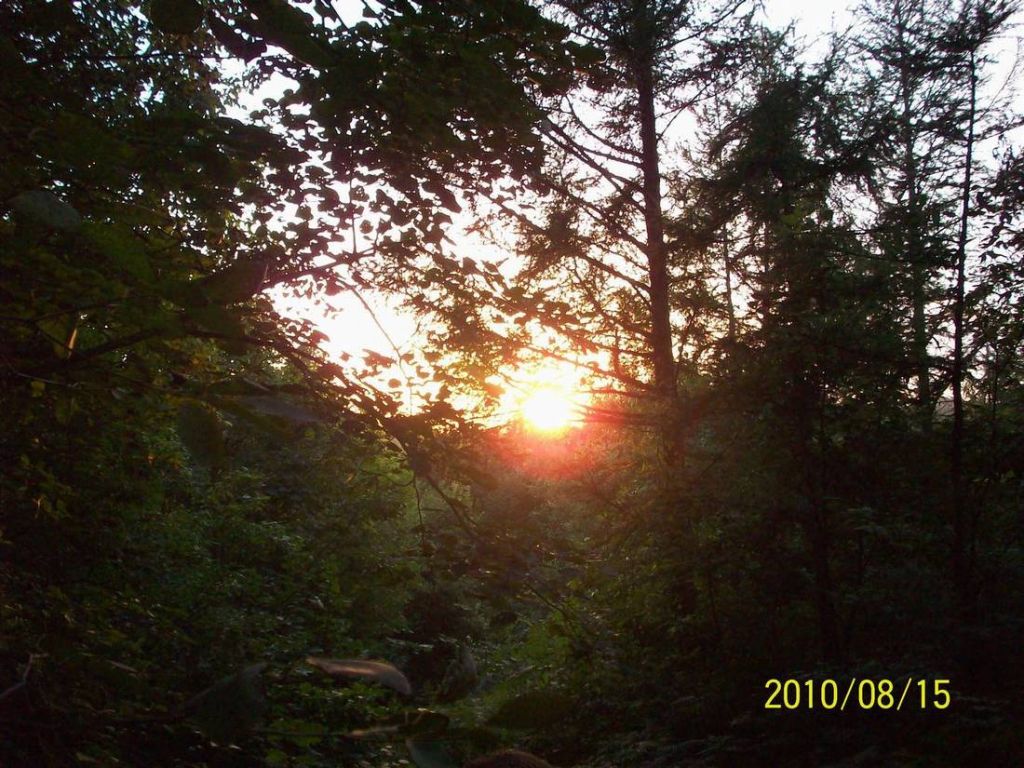 100_6095.JPG