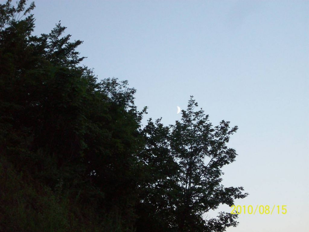 100_6108.JPG