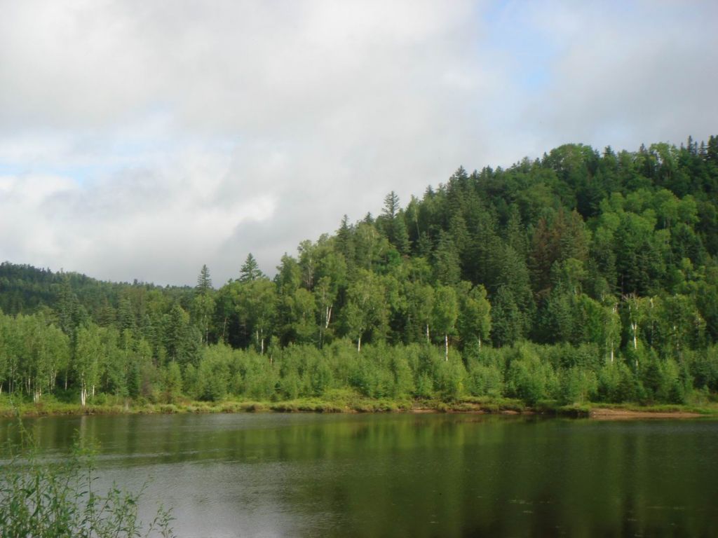 DSC08940.JPG