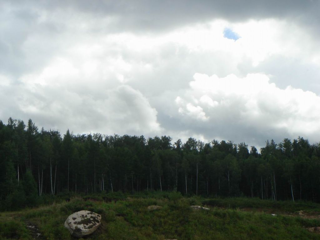 DSC08959.JPG
