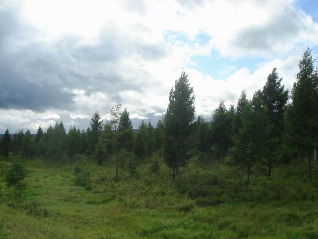 DSC08976.JPG