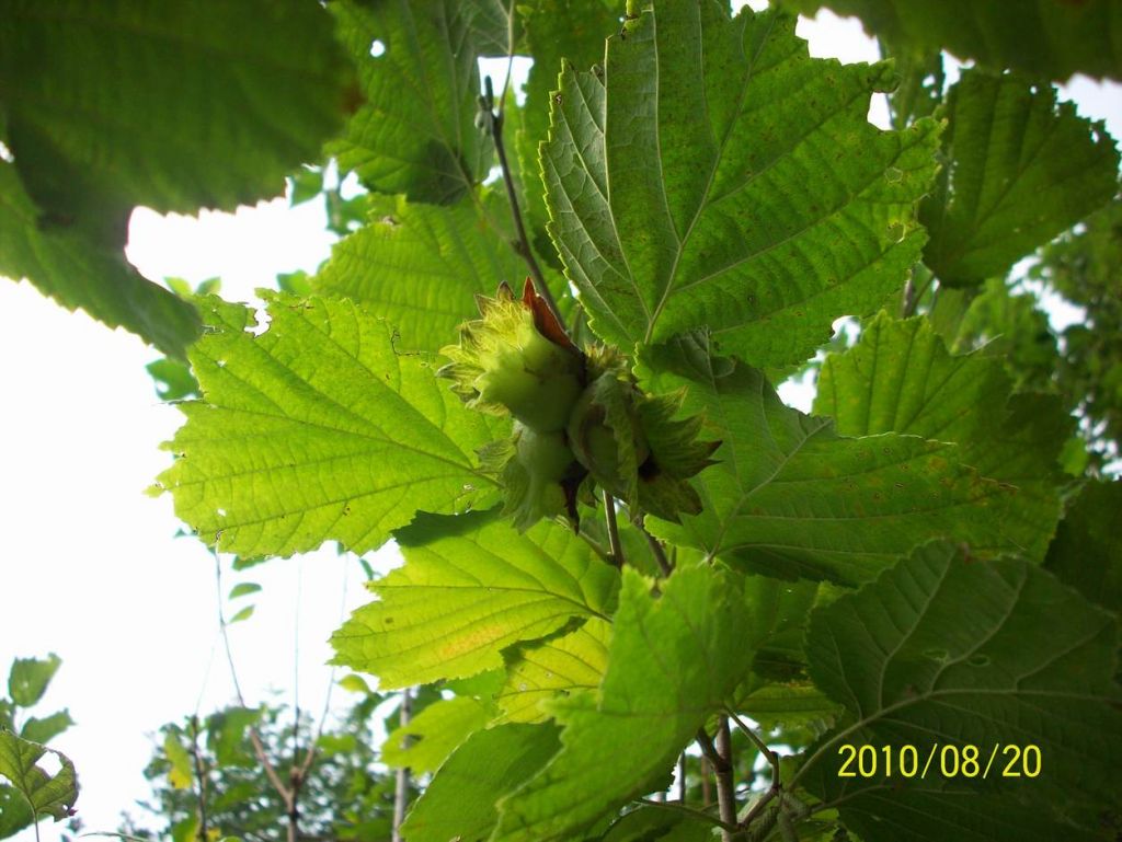 100_6184.JPG