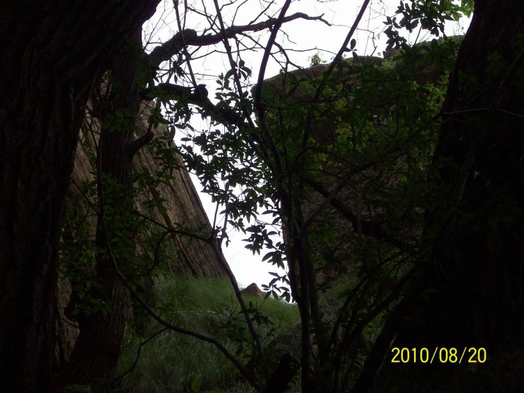 100_6370.JPG