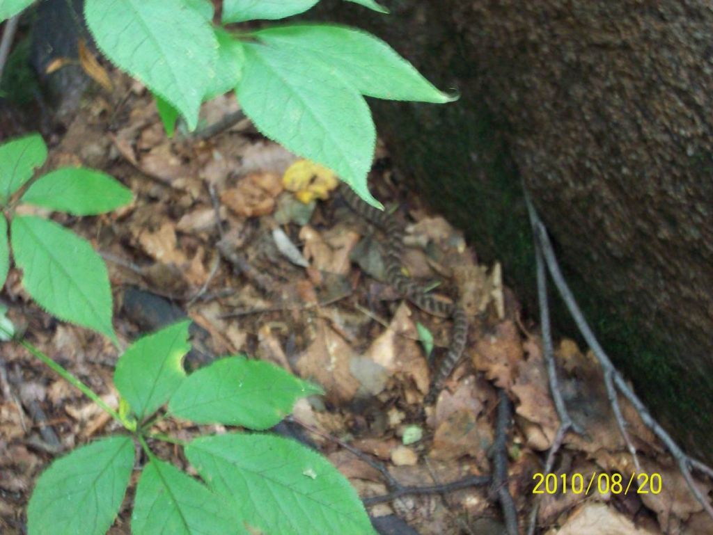 100_6395.JPG