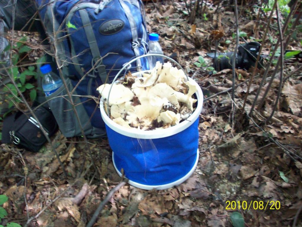 100_6403.JPG