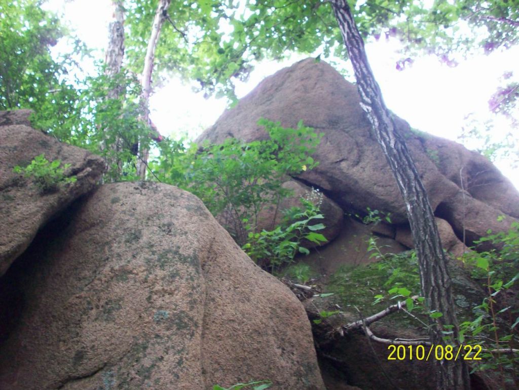 100_6450.JPG