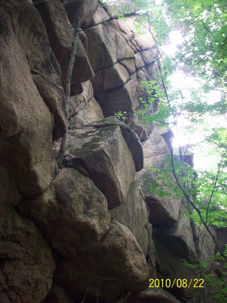 100_6465.JPG