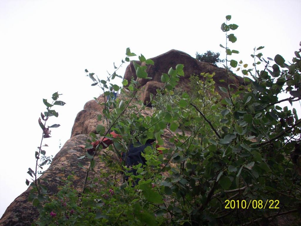 100_6515.JPG