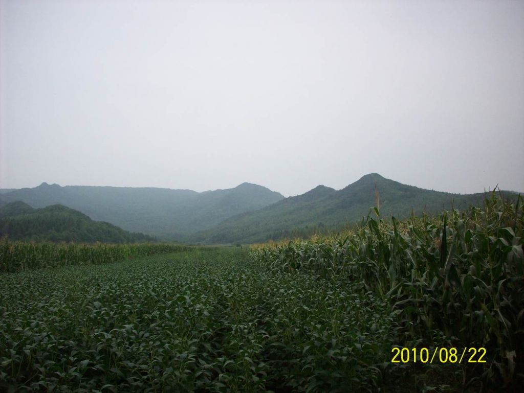 100_6628.JPG