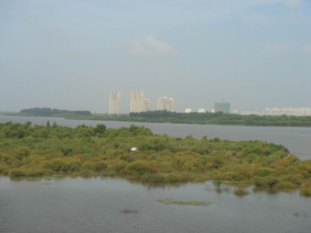 DSC08995.JPG