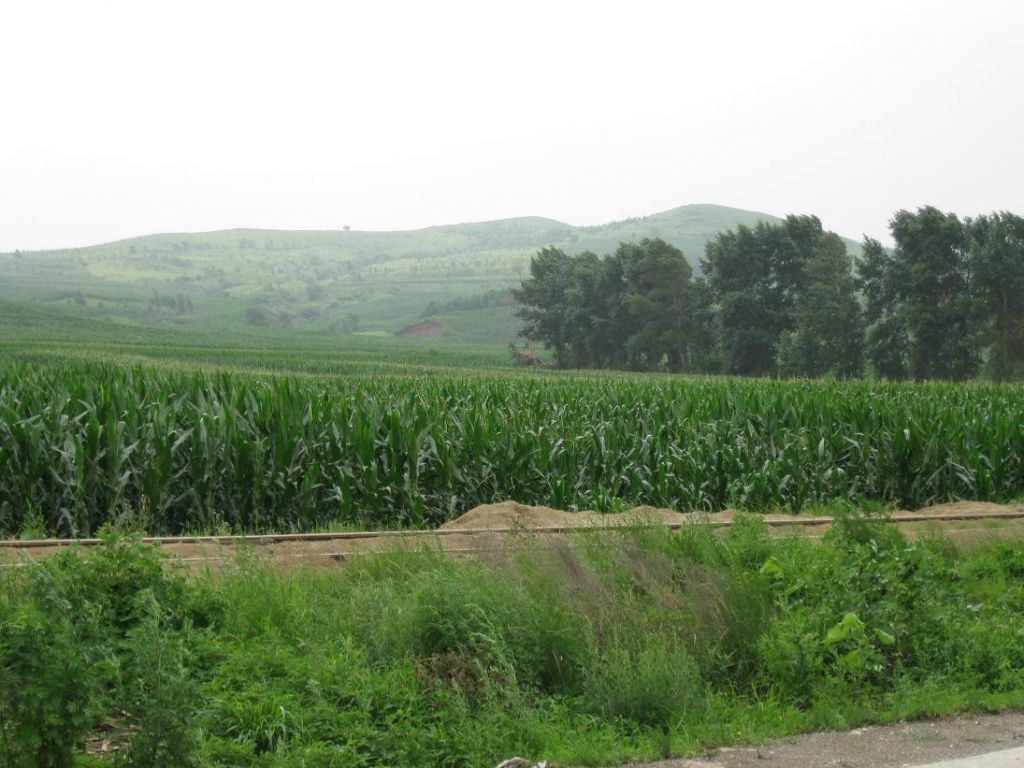 ����С������Ƭ 014.jpg