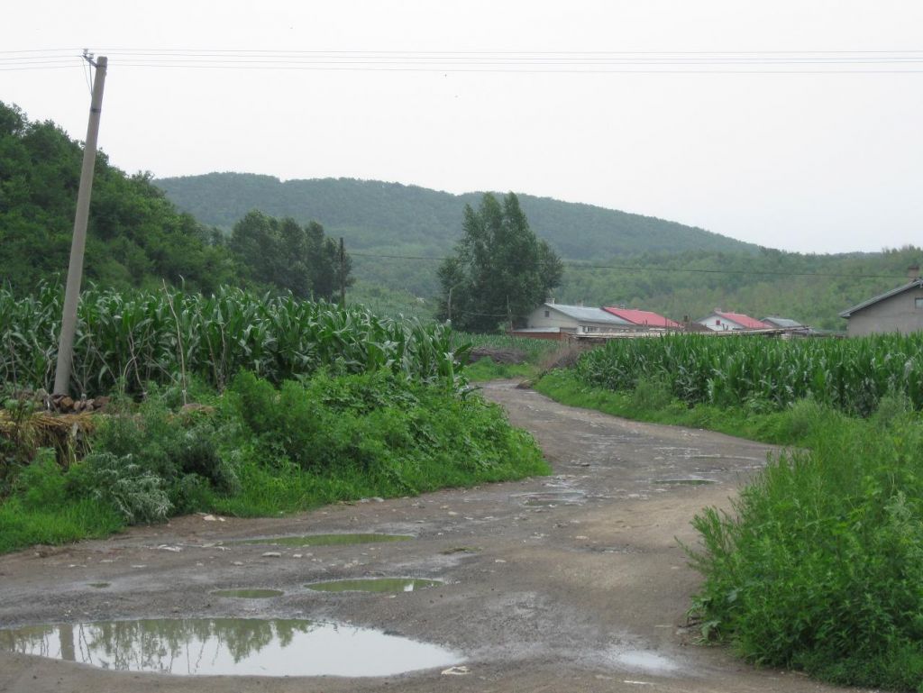 ����С������Ƭ 026.jpg