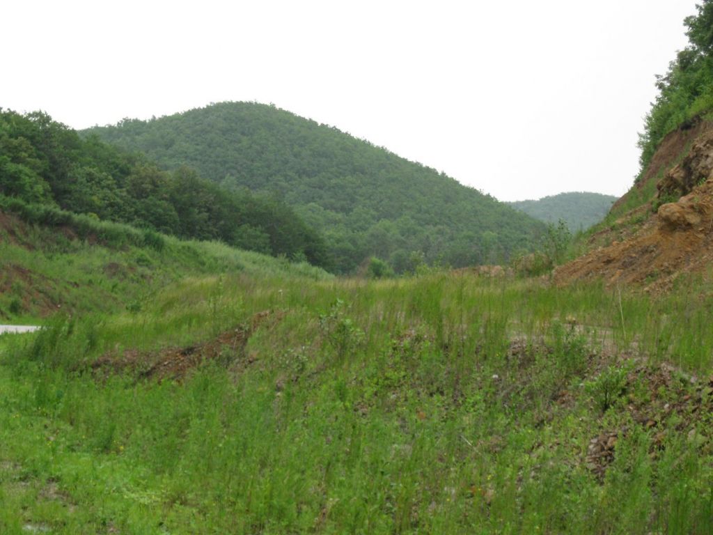 ����С������Ƭ 036.jpg