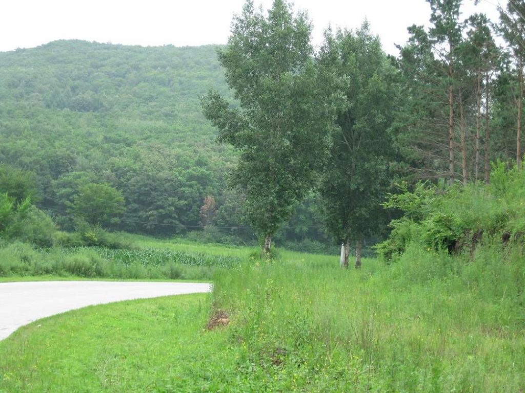 ����С������Ƭ 038.jpg