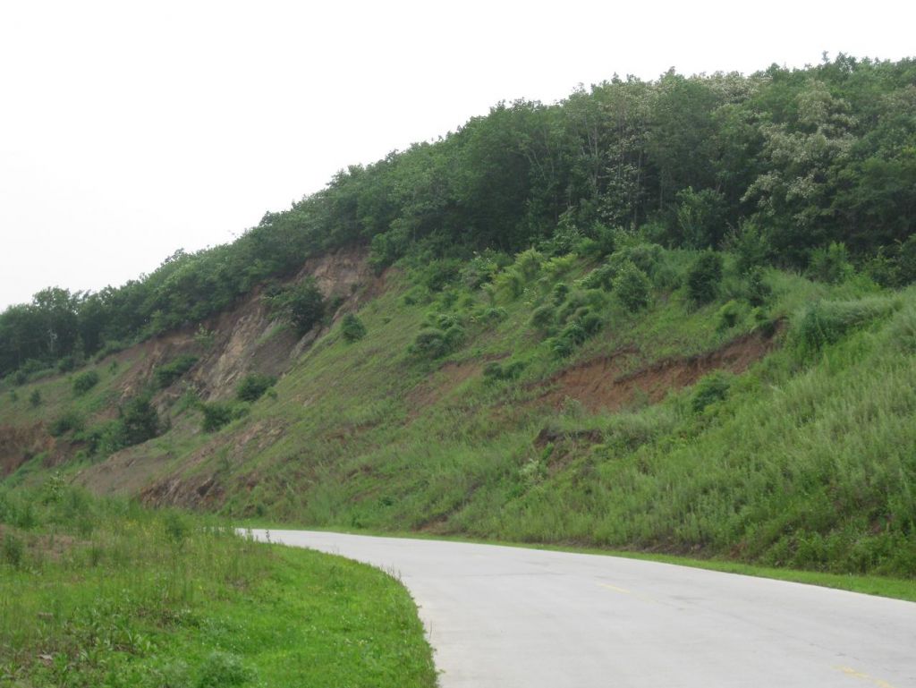 ����С������Ƭ 039.jpg