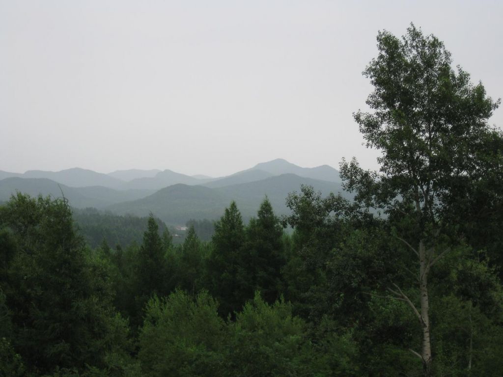 ����С������Ƭ 048.jpg