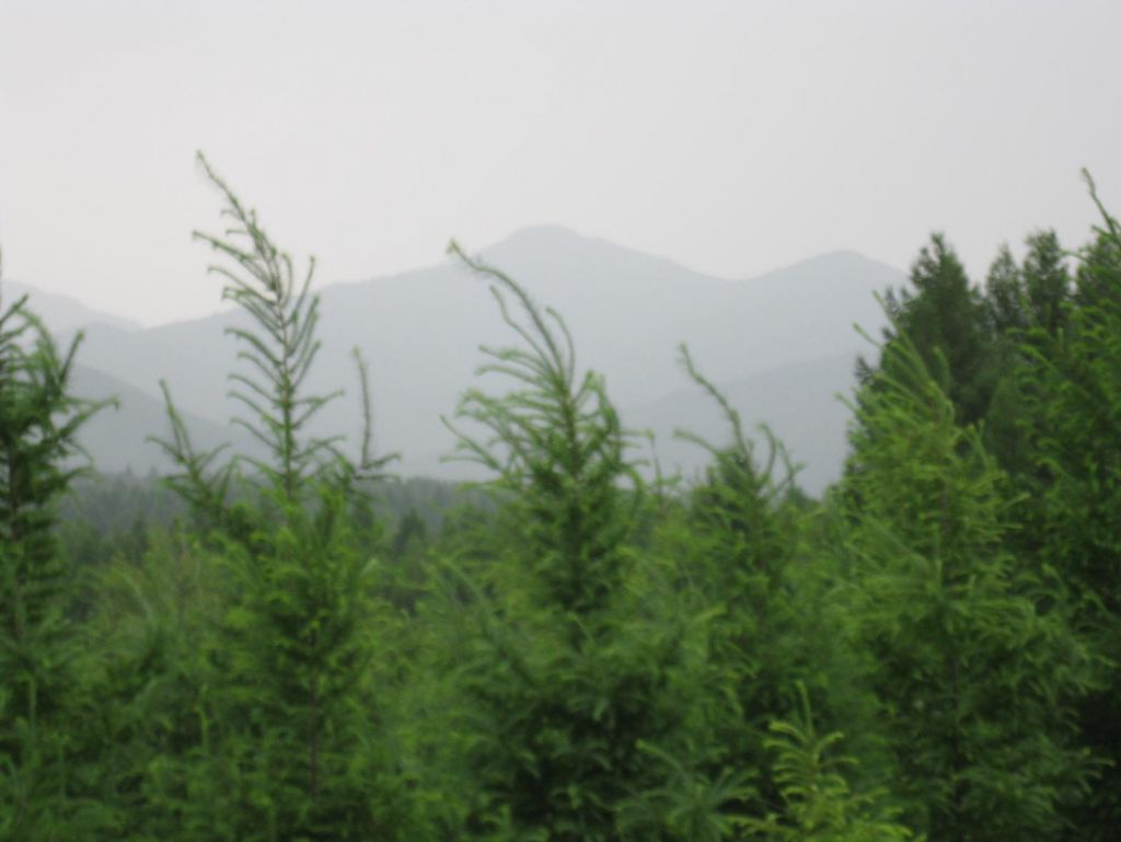 ����С������Ƭ 051.jpg