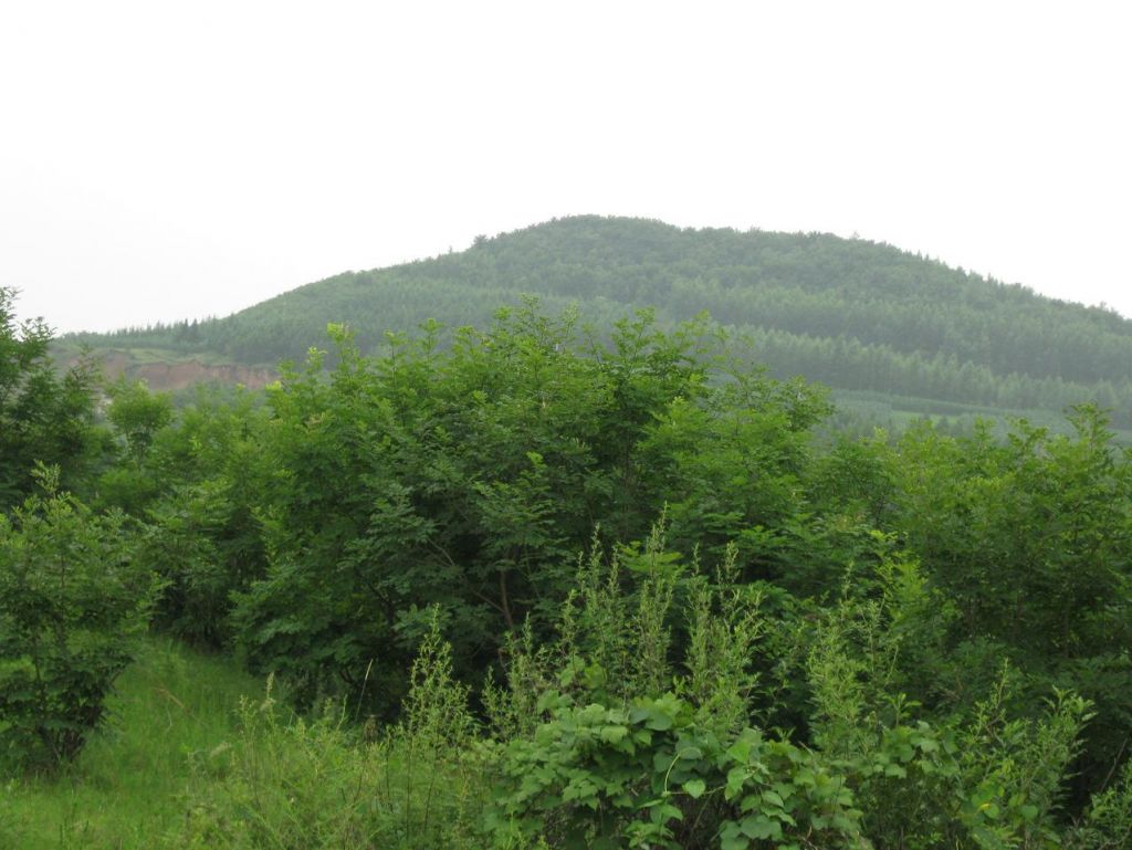 ����С������Ƭ 059.jpg