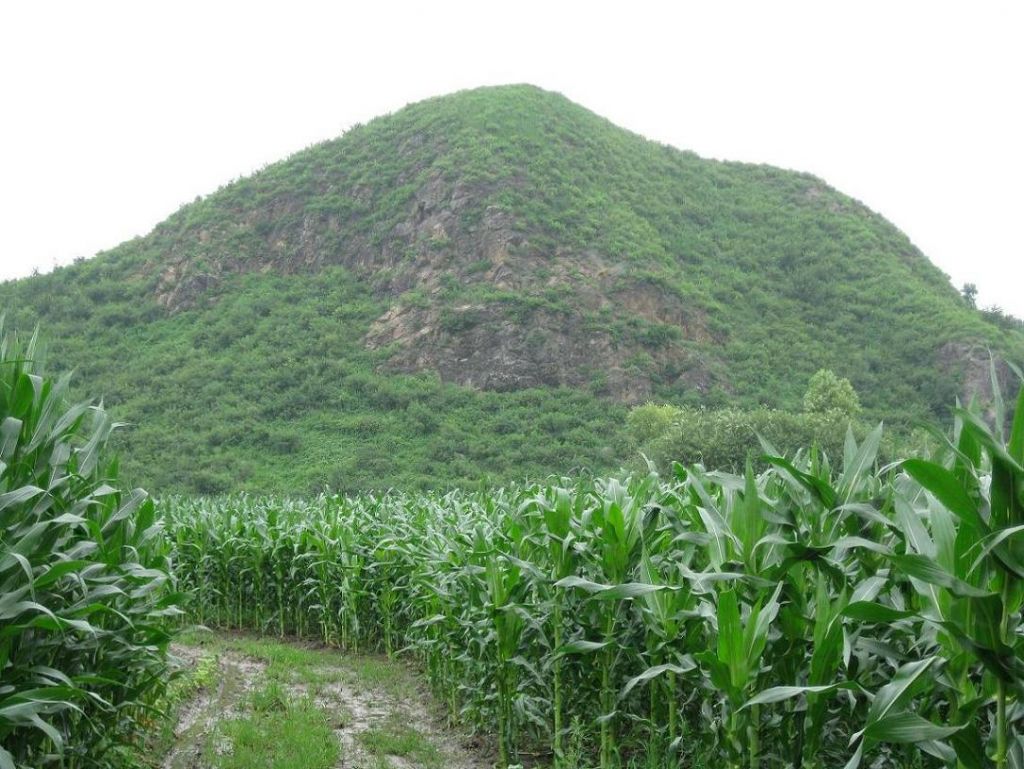 ����С������Ƭ 065.jpg