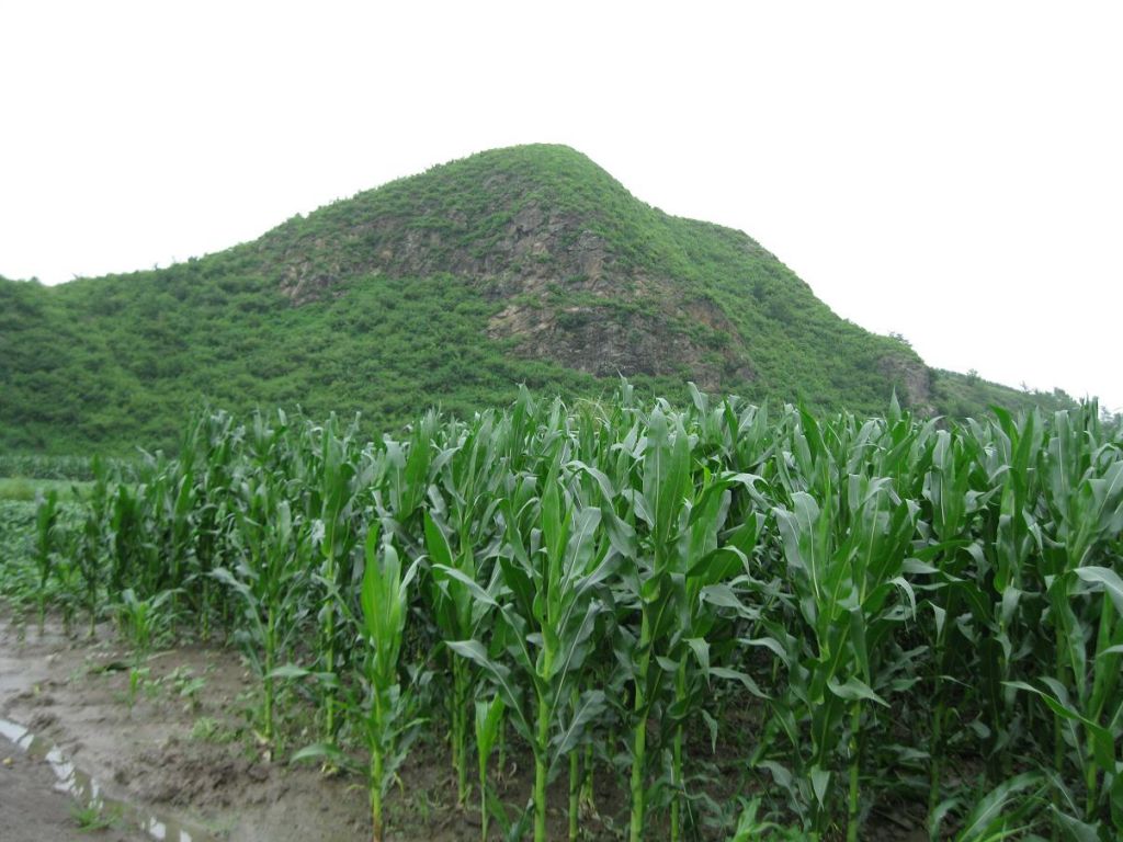 ����С������Ƭ 067.jpg