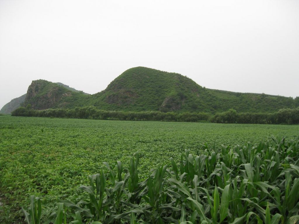 ����С������Ƭ 063.jpg