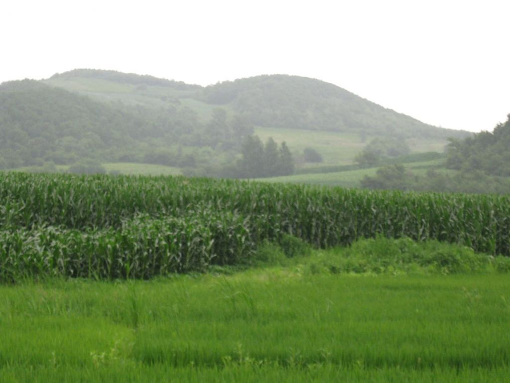 ����С������Ƭ 075.jpg