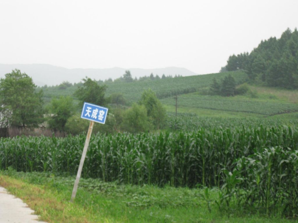 ����С������Ƭ 083.jpg