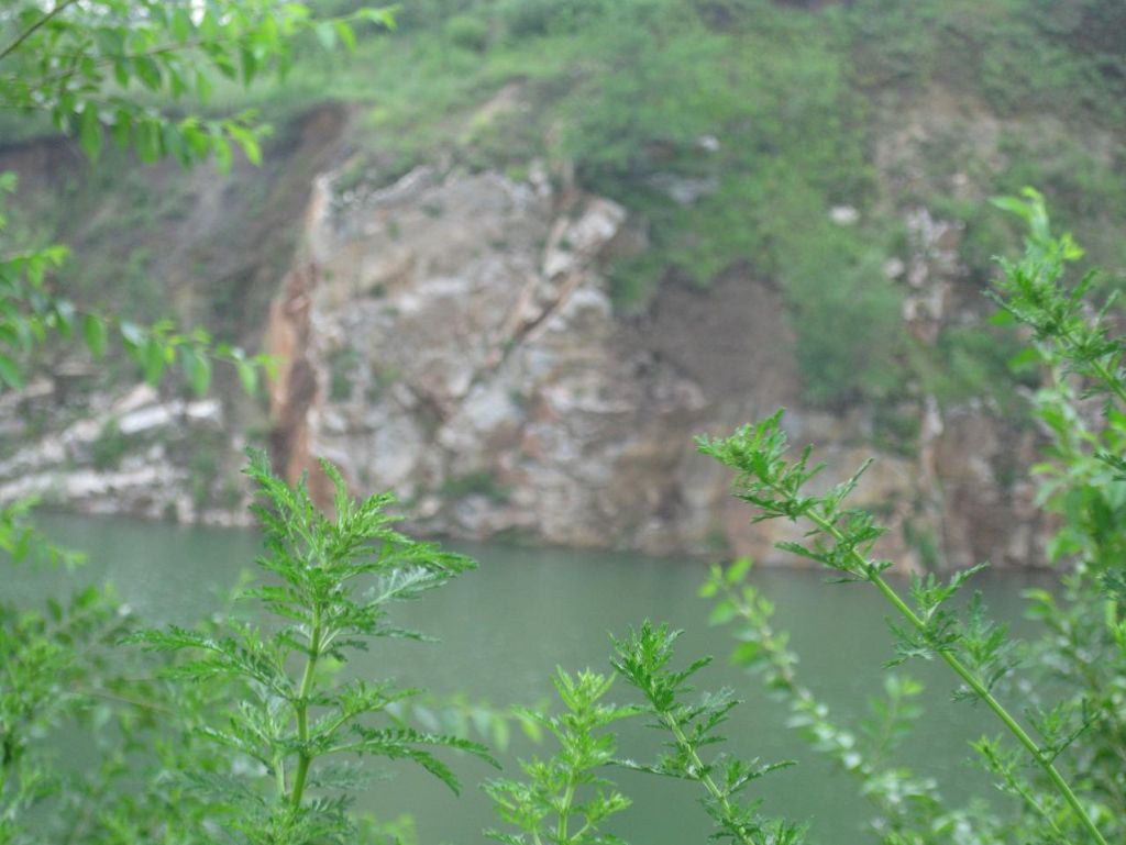 ����С������Ƭ 088.jpg