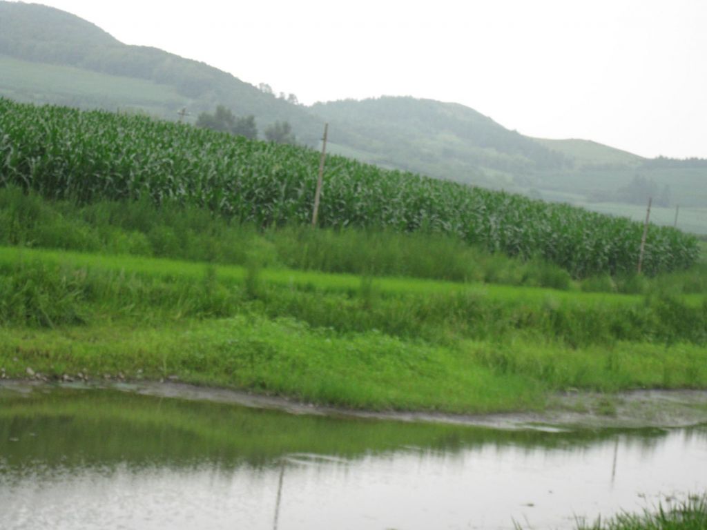 ����С������Ƭ 079.jpg