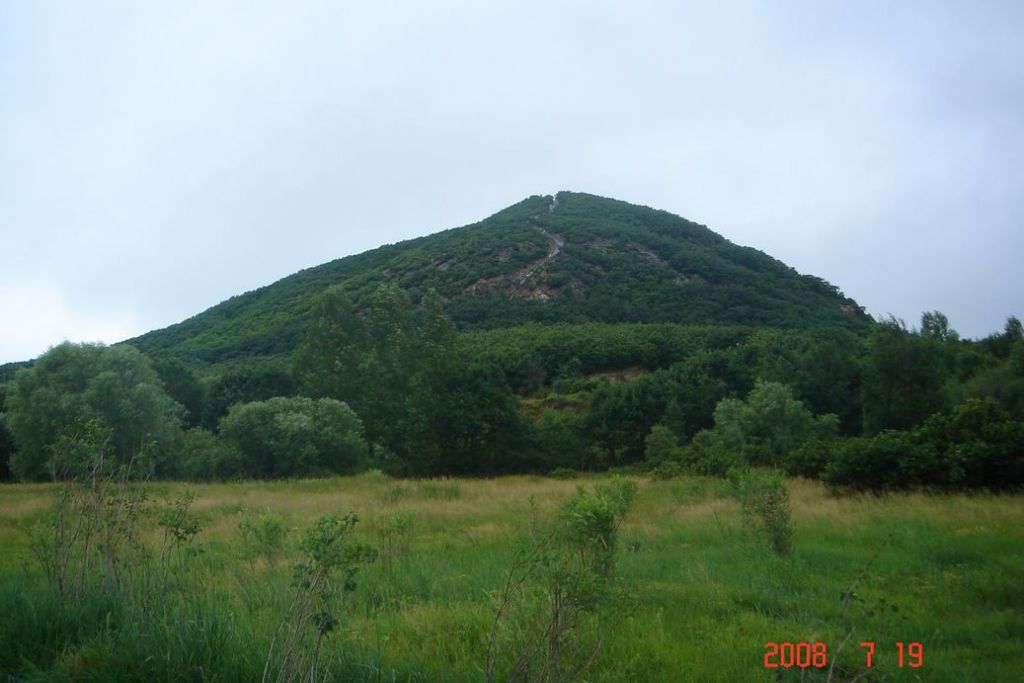 ������С DSC00045.JPG