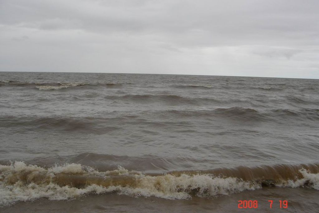 ������С DSC00225.JPG