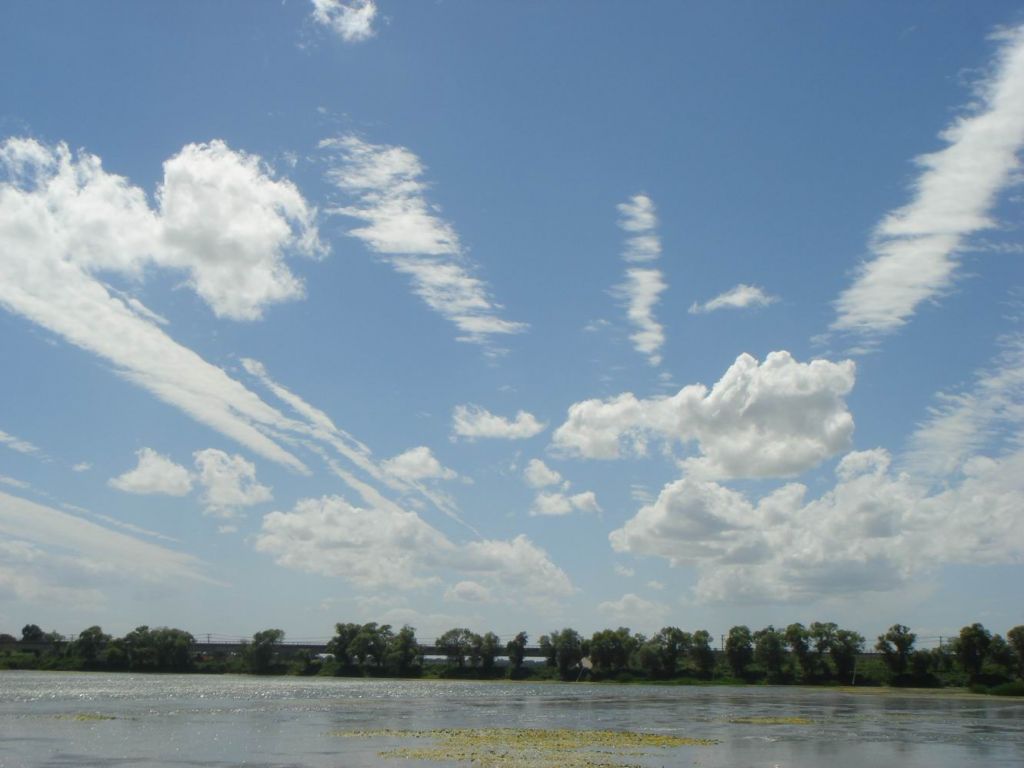 DSC08748.JPG