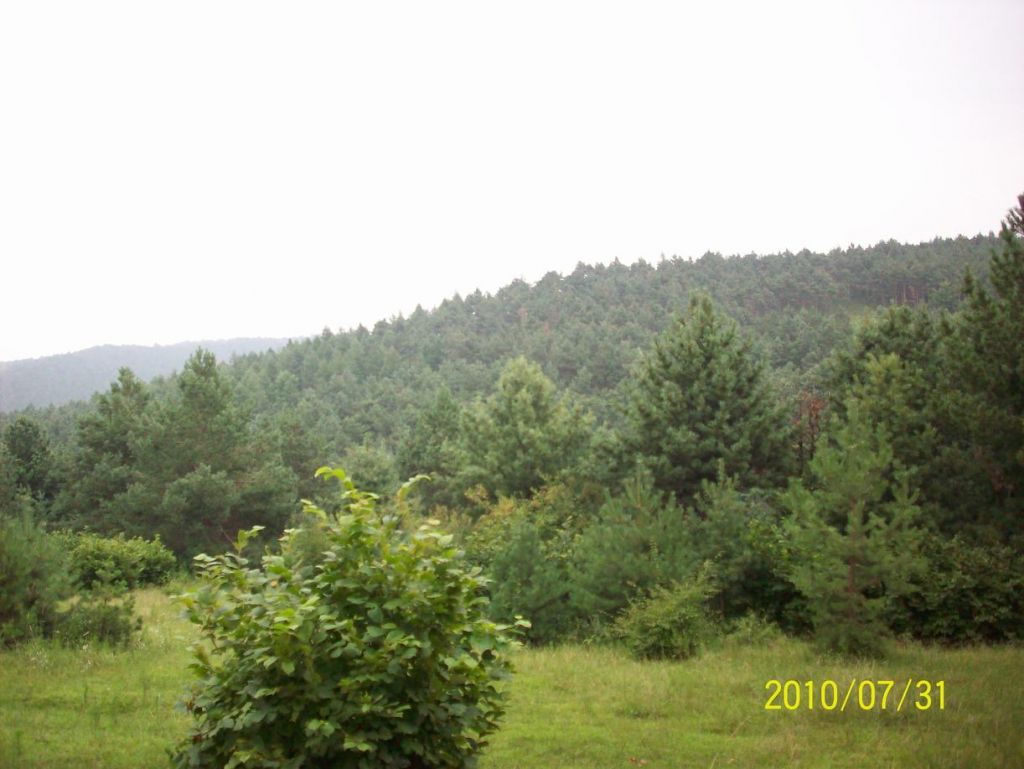 100_5559.JPG