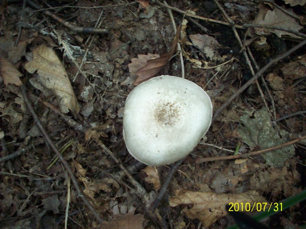 100_5569.JPG