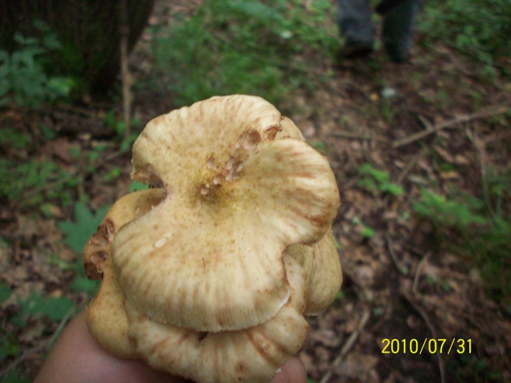 100_5571.JPG