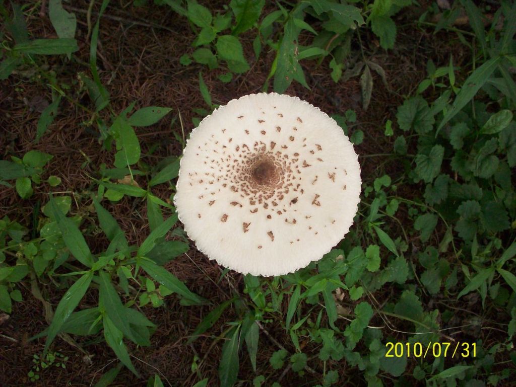 100_5604.JPG