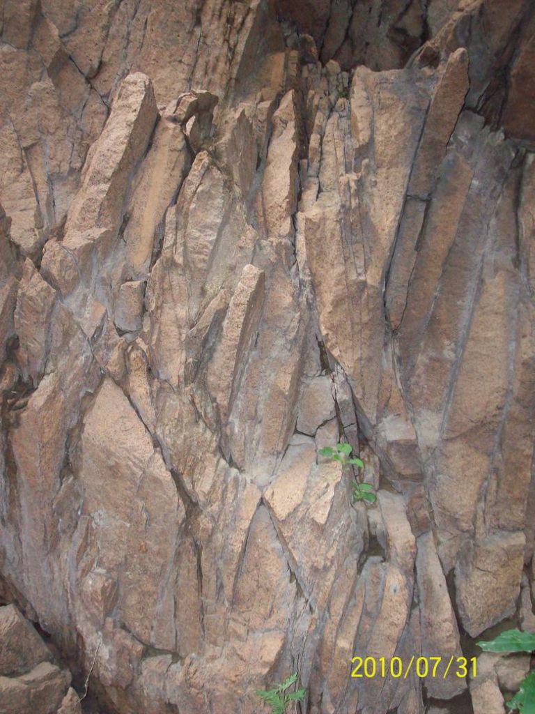 100_5630.JPG