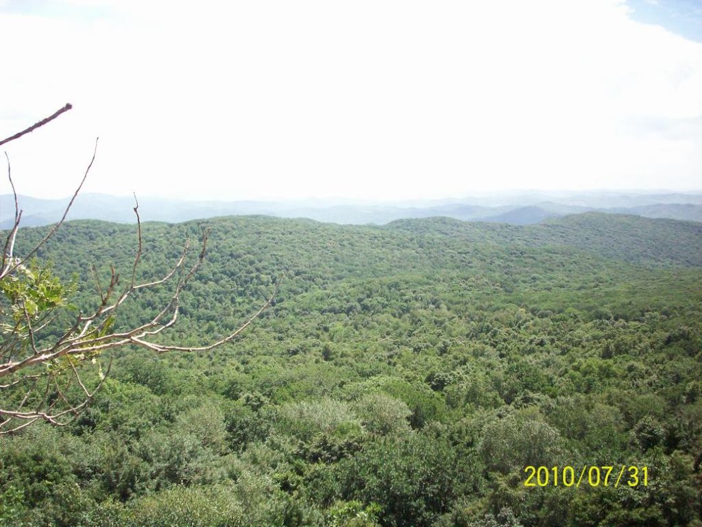 100_5650.JPG