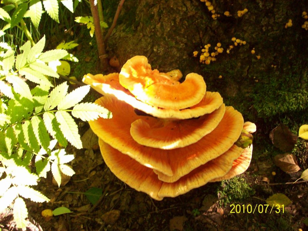 100_5672.JPG