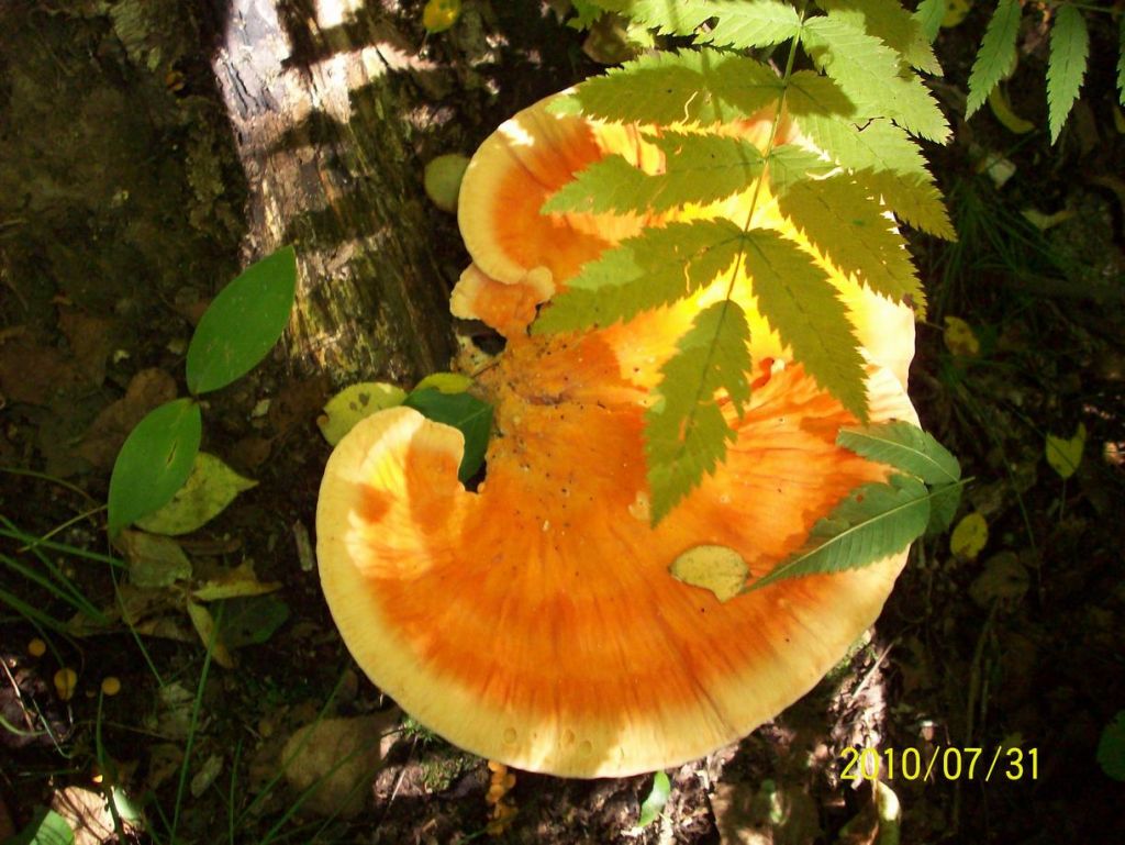 100_5674.JPG