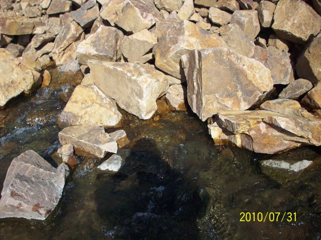 100_5689.JPG