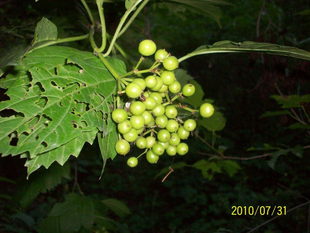 100_5692.JPG